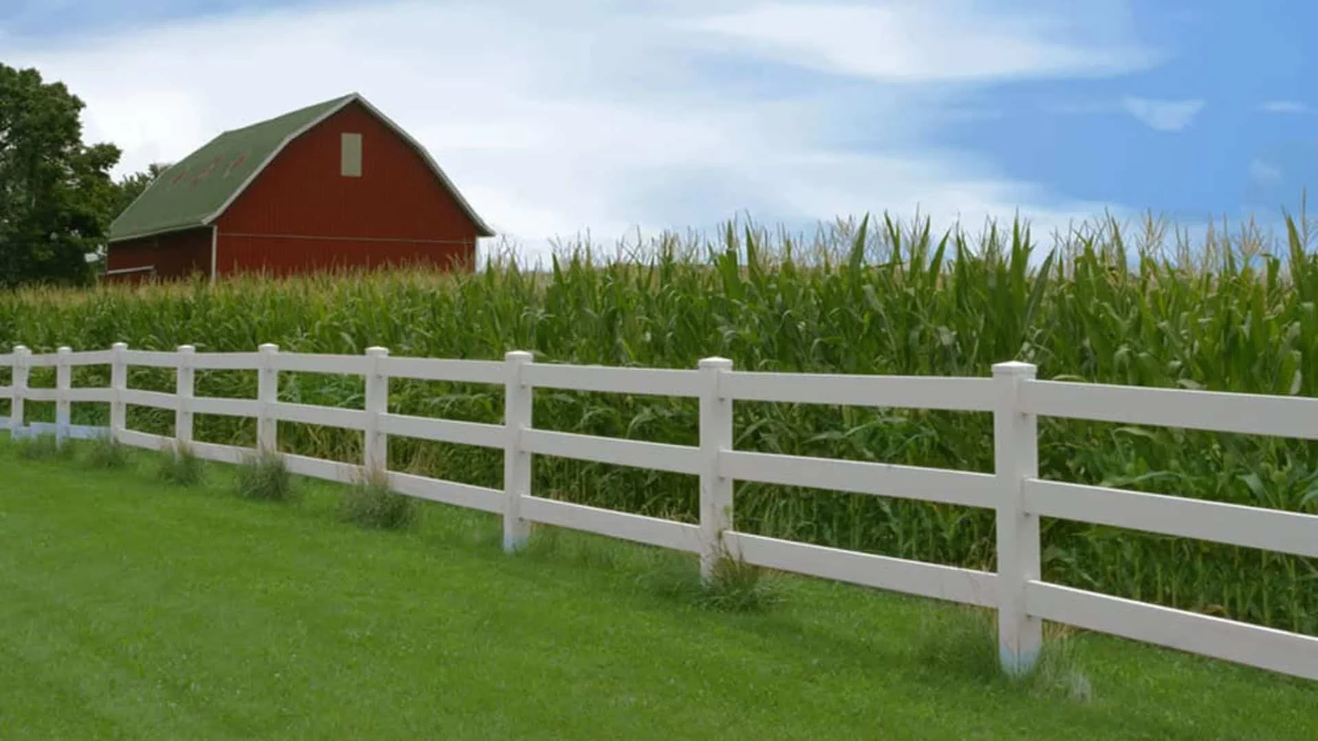 belleville fence for agriculture