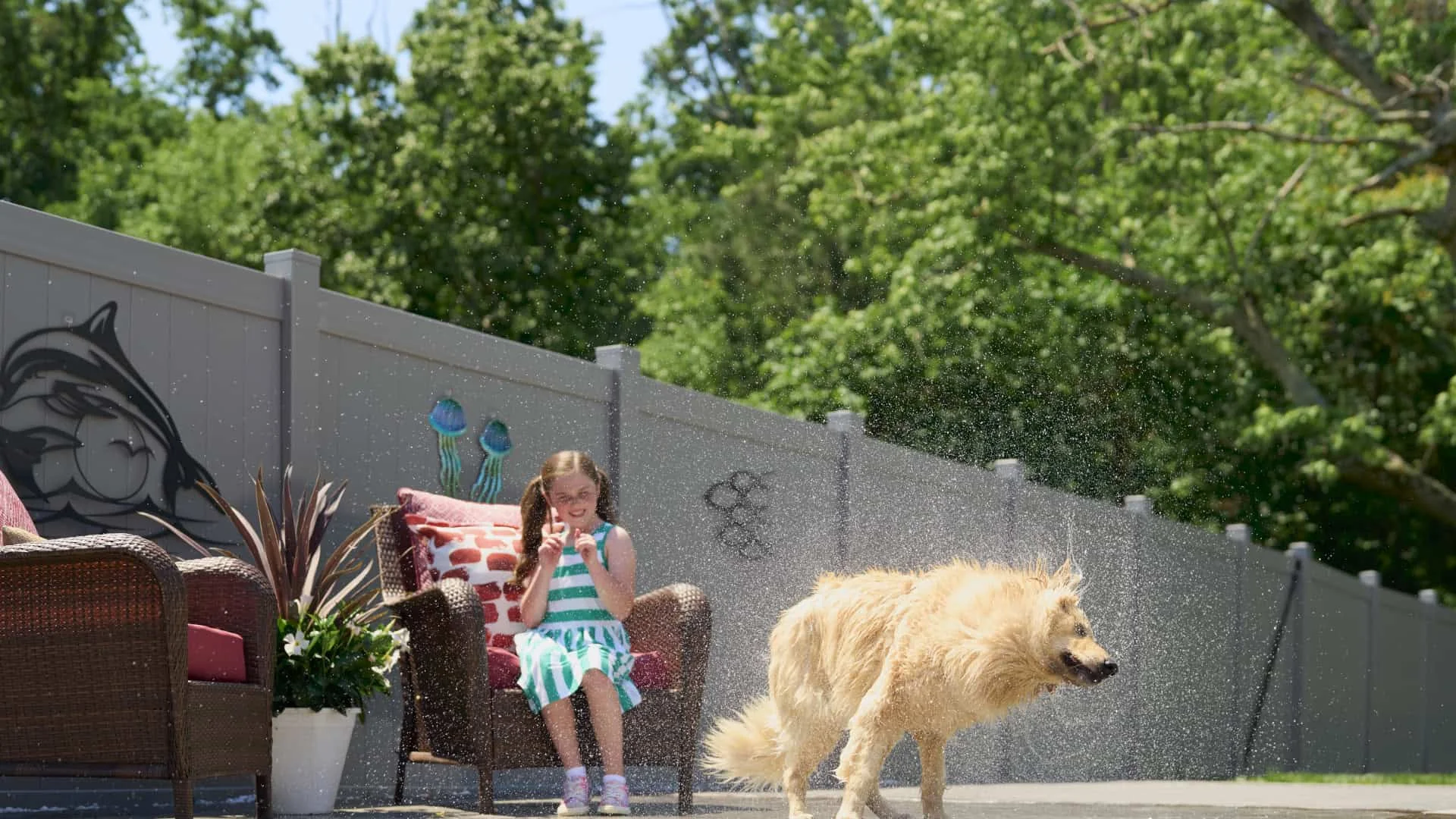 Pawtucket fence company vinyl dog fence