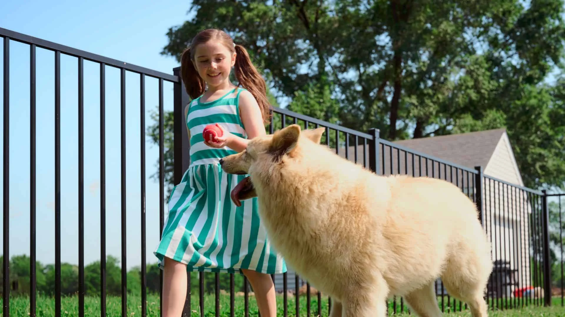 dog fence ideas for your southern pa yard