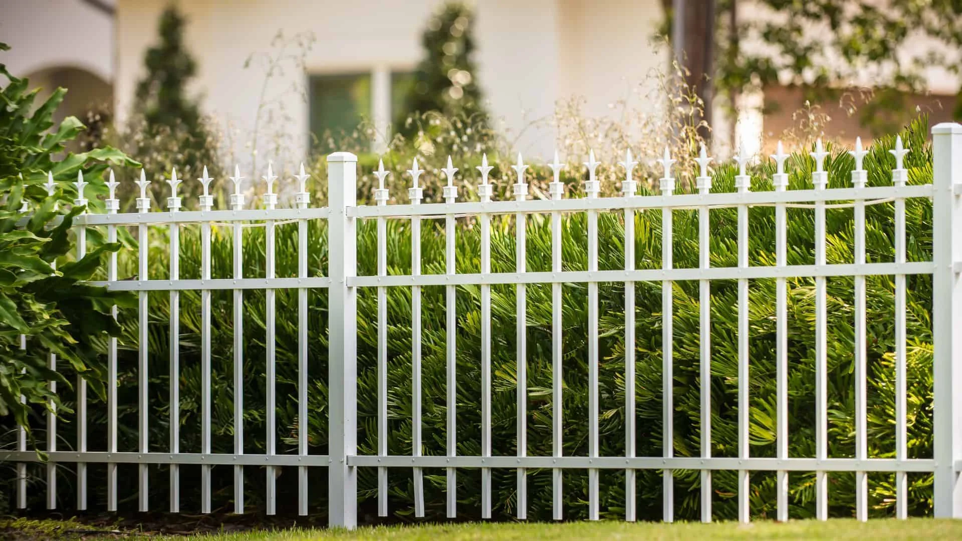 looking for steel fence companies near me?