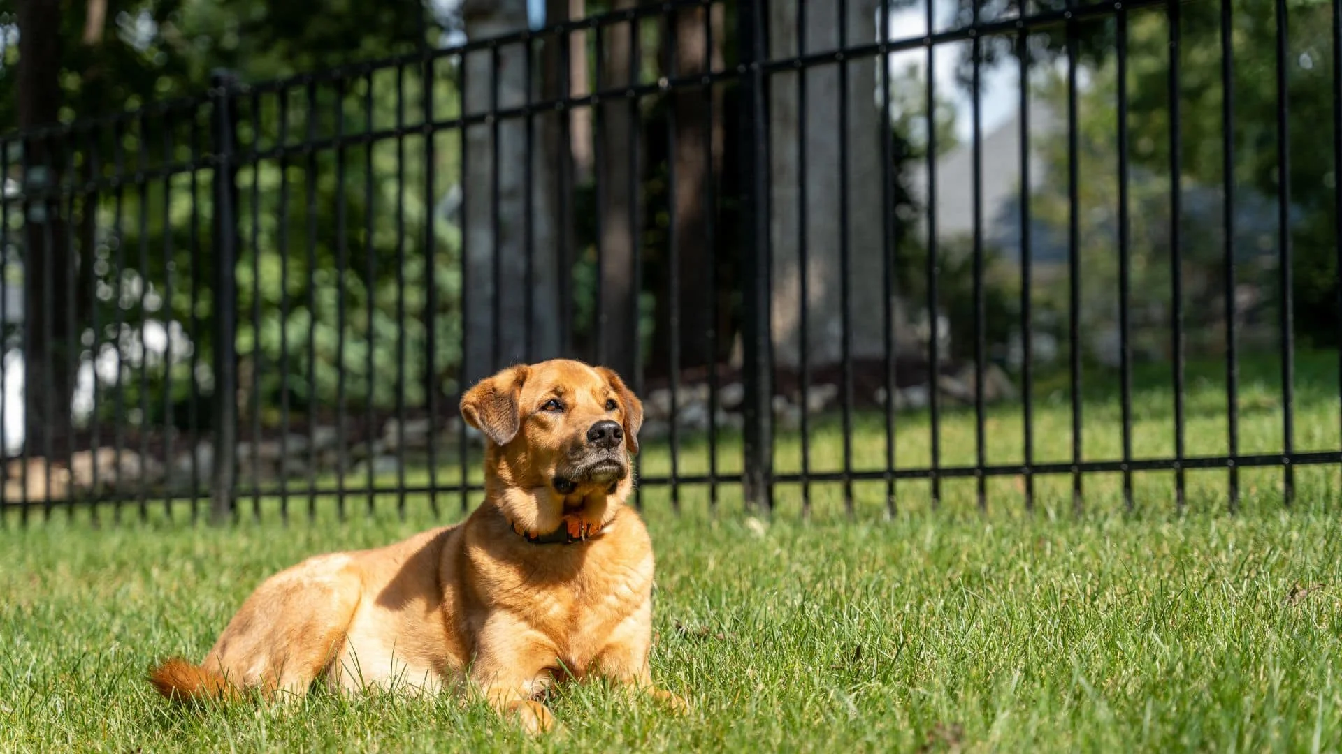 Lehigh Valley trusted fence company
